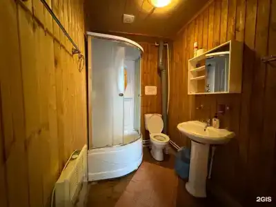 Лебедь - 16