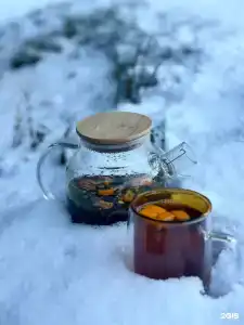 Лесная тропа - 33