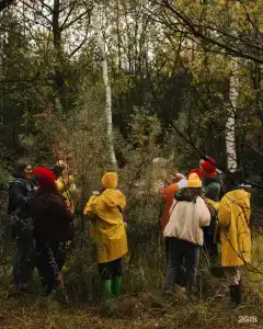 Зеленая Тропа - 95