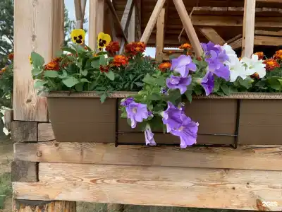 Мелодия Ольхона - 45