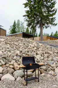 Jarvi - 29