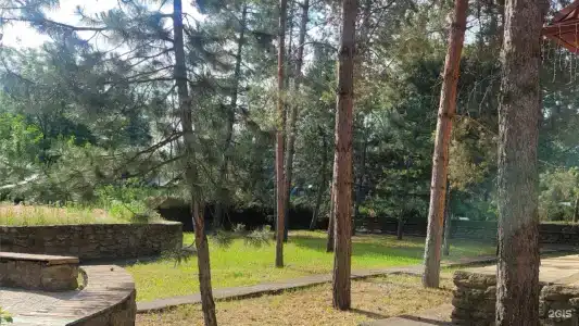 Ветерок - 60