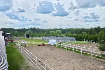 Журавка - 74