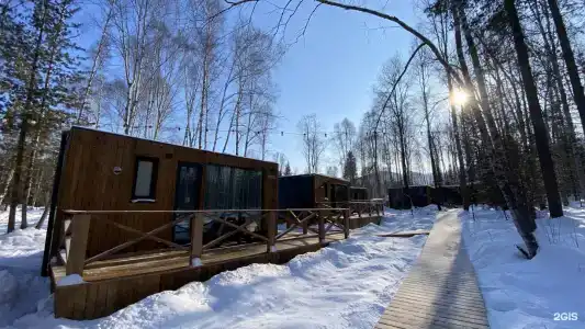 Снежные гуси - 11