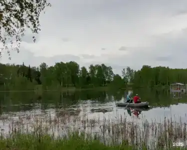 Гашкино - 20