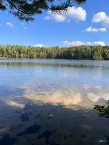 Шишки - 24