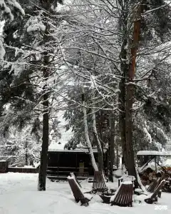 Seasons - 53