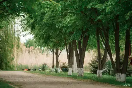 Покровский - 50