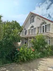 Амина - 1