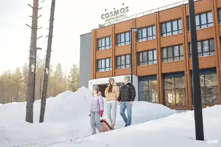 Cosmos Segezha - 64