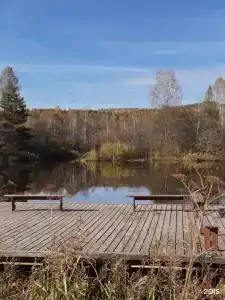 Тихая Заводь - 26