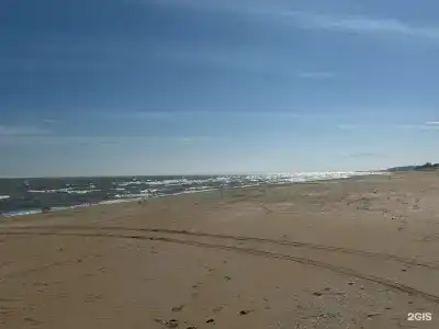 Дельфин2 - 2