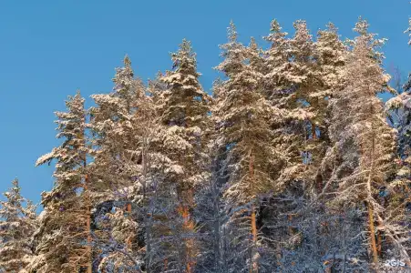 Абракадабра - 28