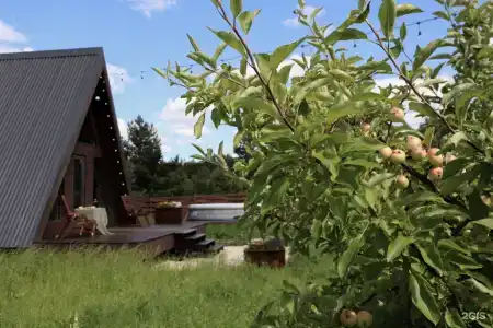 Дубовая роща - 4