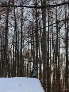 Золотой Дракон - 145