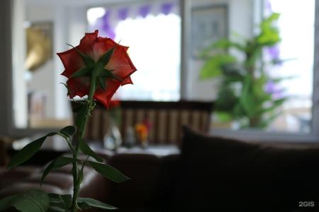 Laza Villa - 34