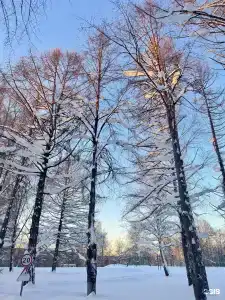 Десна - 32
