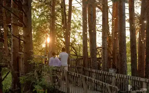 Гнездо - 37