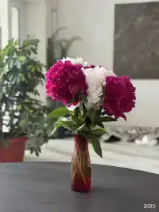 на Набережной - 5