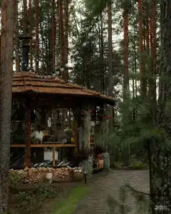 We Lodge - 68