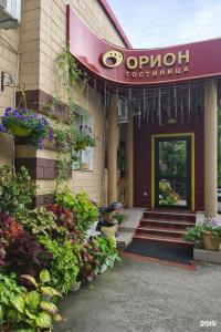 Орион - 14
