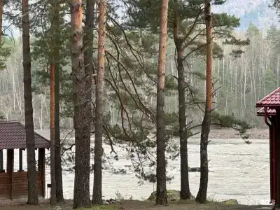 Пилот - 3