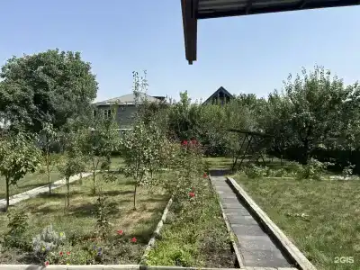 Лунная Ночь - 6