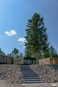 Jarvi - 6