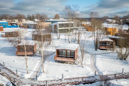 Мыс на Неве - 50