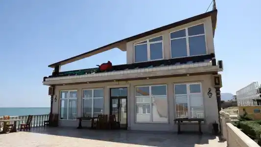 Журавли - 10