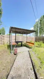 Зелёный бор - 40