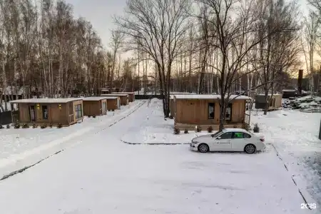 Белый клевер - 41