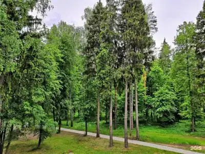 Розендорф - 27