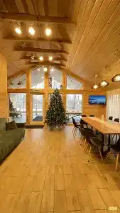 Зелёный бор - 8