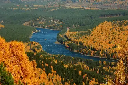 Парма - 14