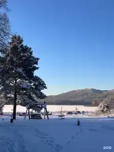 Аракуль - 93
