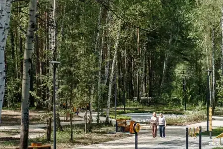 Синара-Долголетие - 20