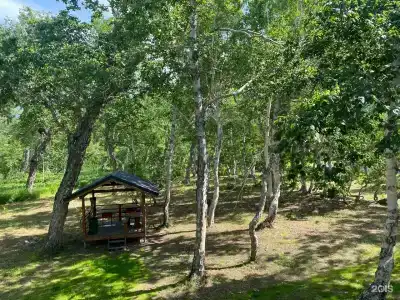 Kamchatka Forest Lodge - 3
