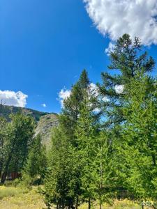 Софийская поляна - 11