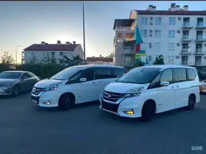 Давид - 34