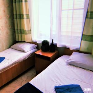 Киви и Цитрус - 65