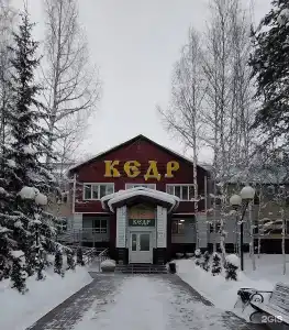 Кедр - 19