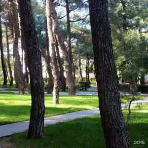 Кабардинка - 66