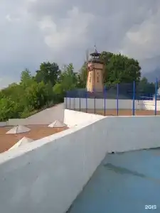 Альбатрос - 100