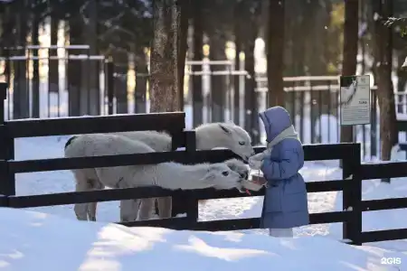Les Villages Русские сезоны - 79