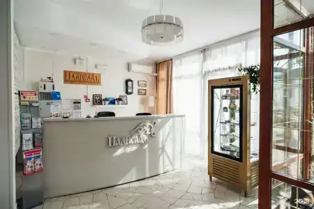 Палисад - 3