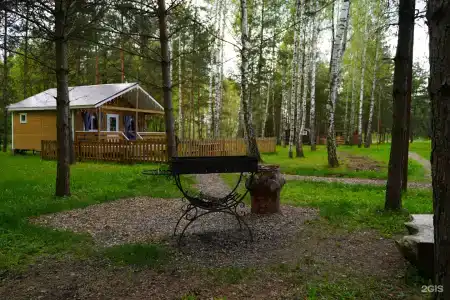 Золотой Куркозель - 6