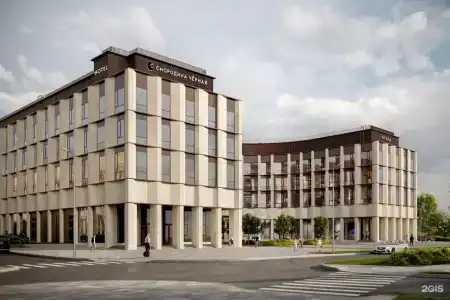Чёрная Смородина Сколково - 34
