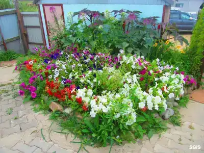 Дом Гружевских - 64