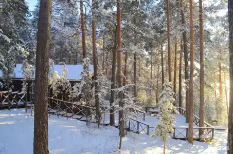 Кристалл - 51